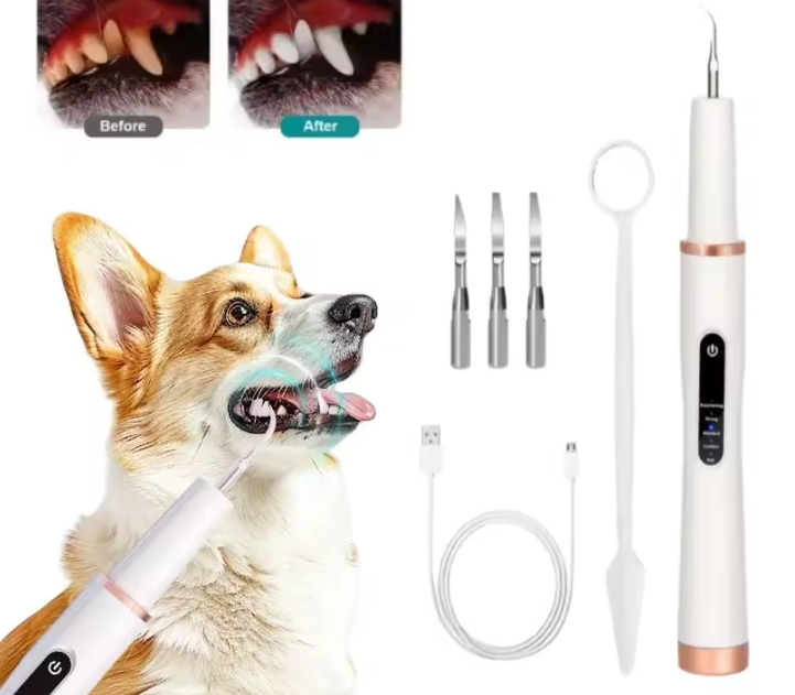 🦷 Alvoria Diş Temizleyici Pro – Dişleri tek seansta kökten temizleyin ve beyazlatın!